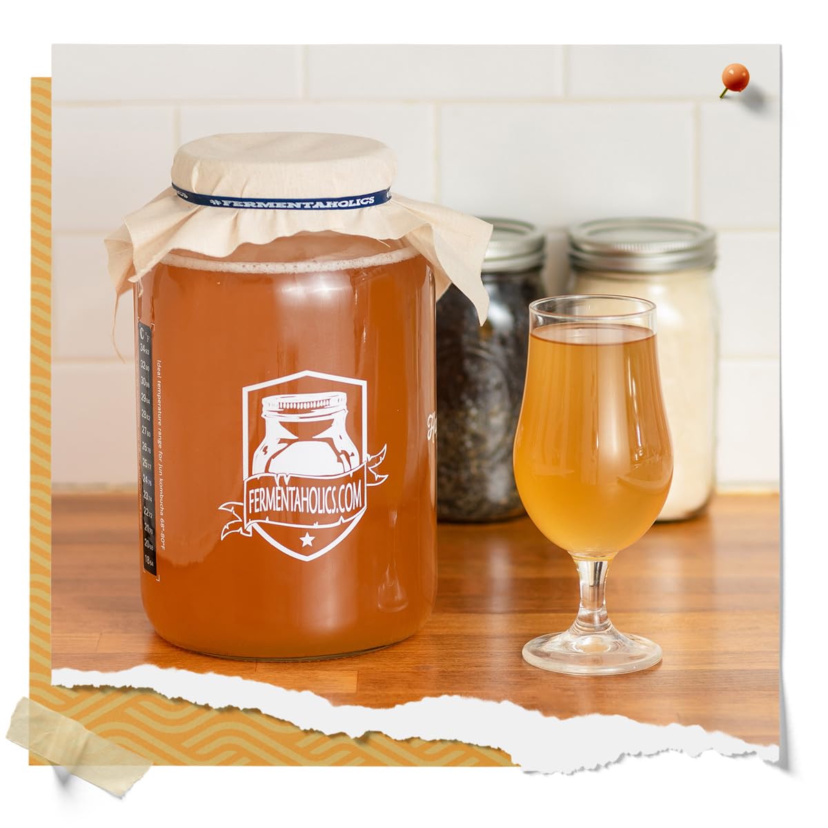 Fermentaholics ORGANIC Kombucha SCOBY with 12 oz Starter Tea - image from Amazon 8