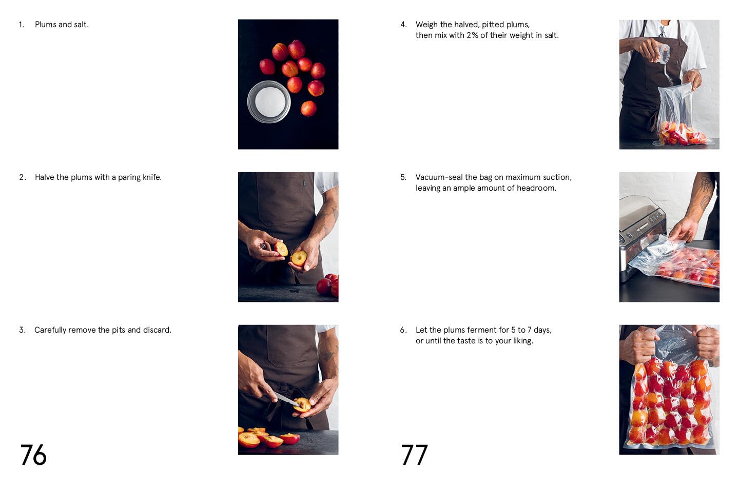 The Noma Guide to Fermentation - image from Amazon 6