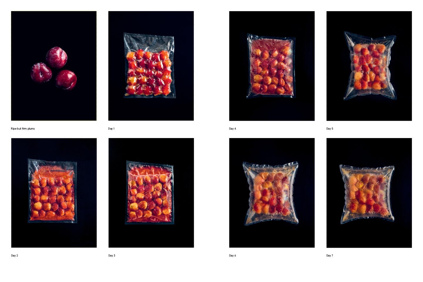 The Noma Guide to Fermentation - image from Amazon 3