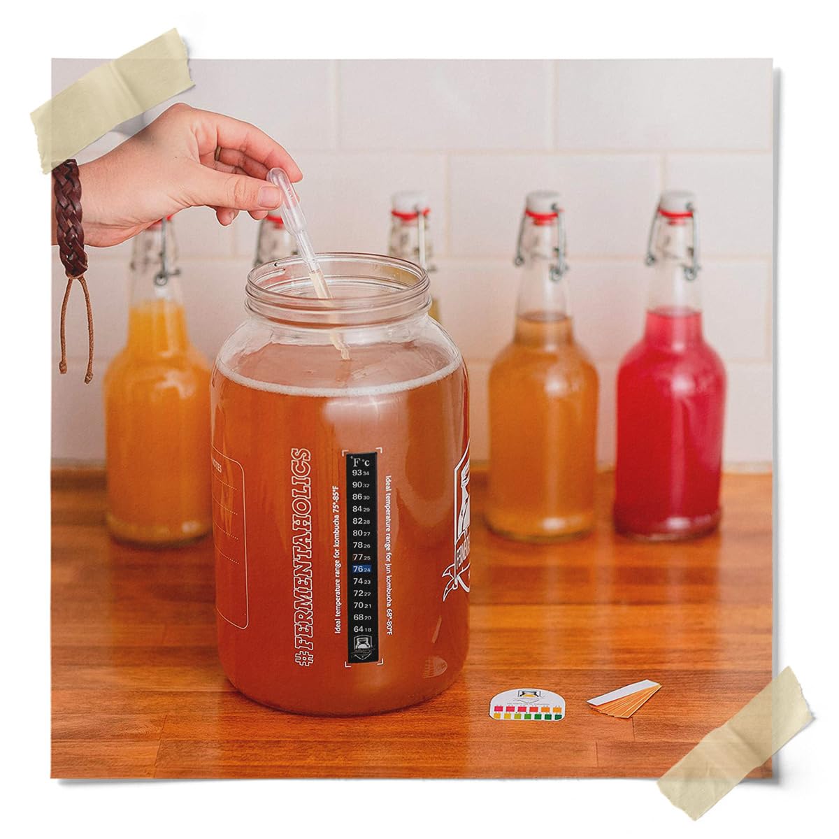 Fermentaholics ORGANIC Kombucha SCOBY with 12 oz Starter Tea - image from Amazon 6