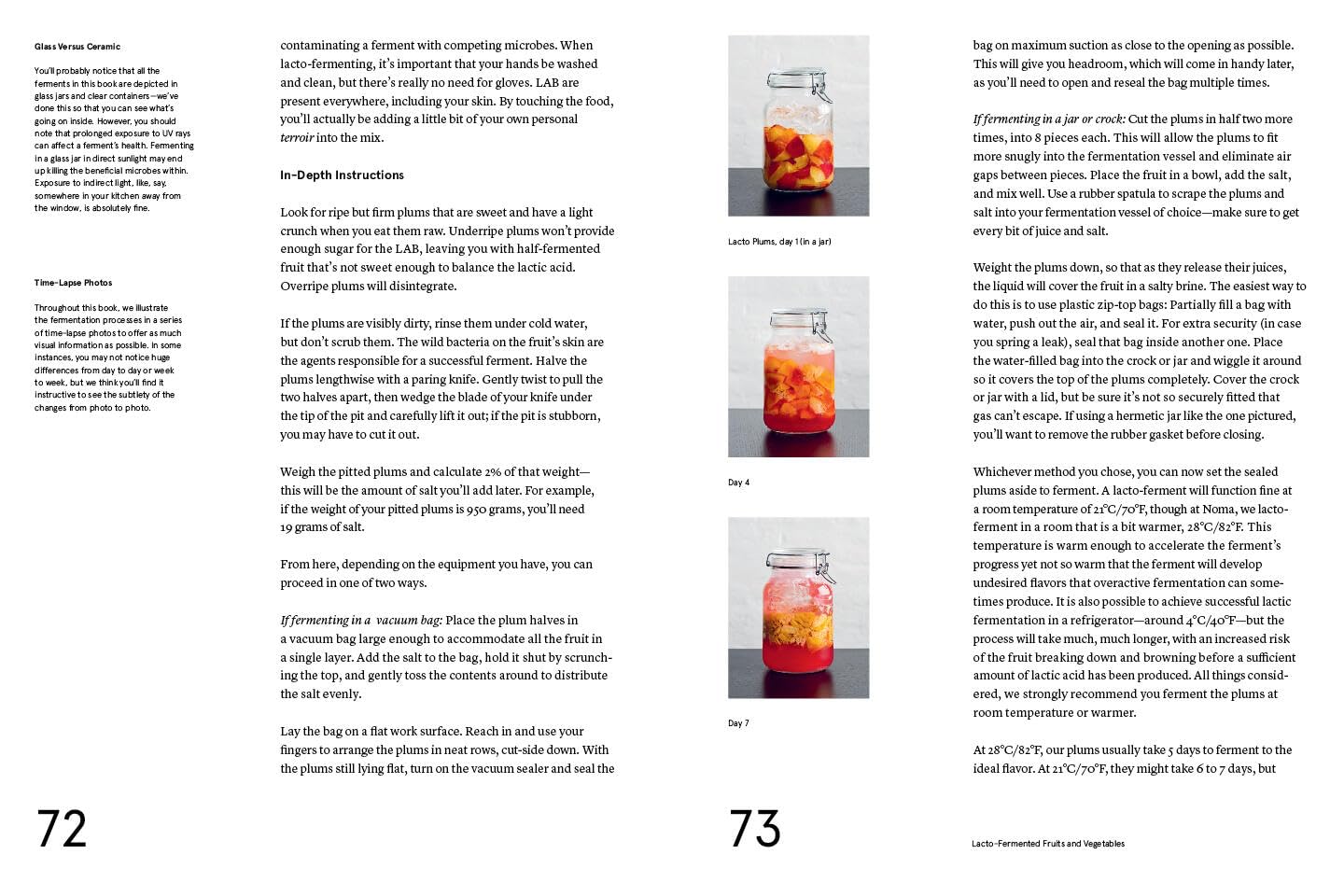 The Noma Guide to Fermentation - image from Amazon 4