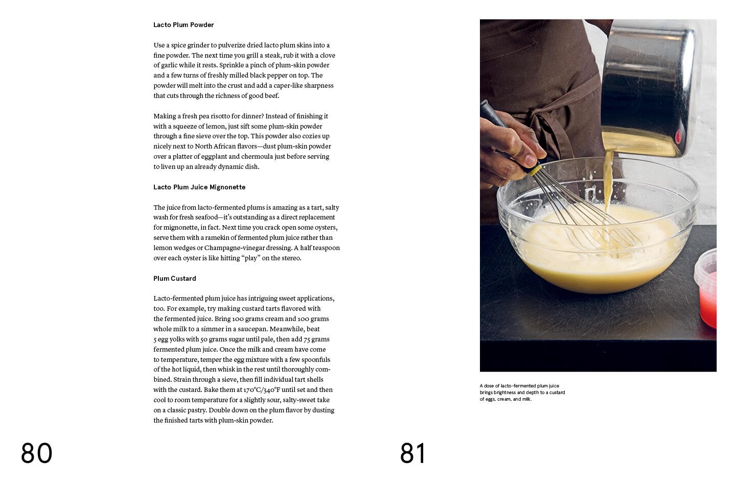 The Noma Guide to Fermentation - image from Amazon 8