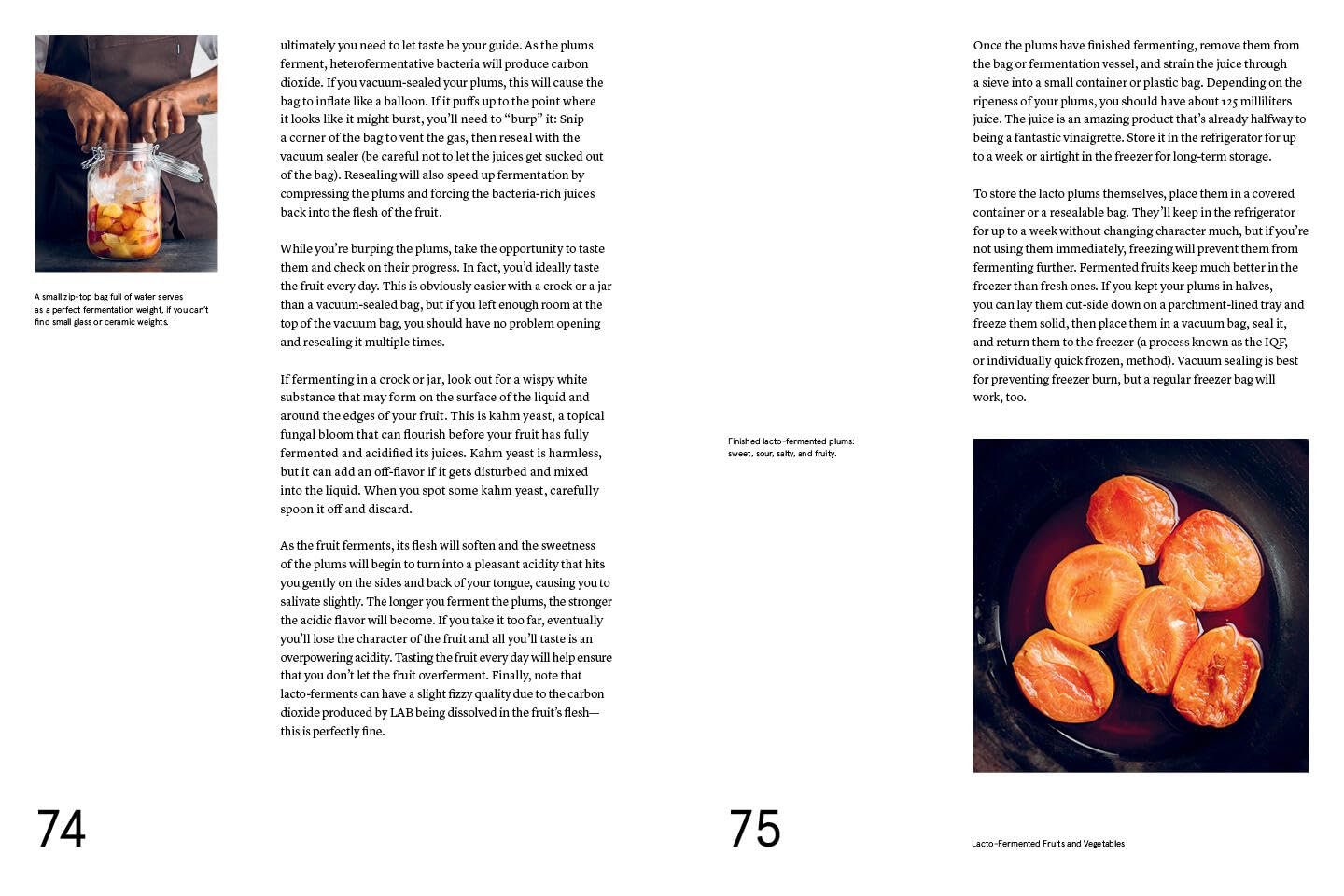 The Noma Guide to Fermentation - image from Amazon 5