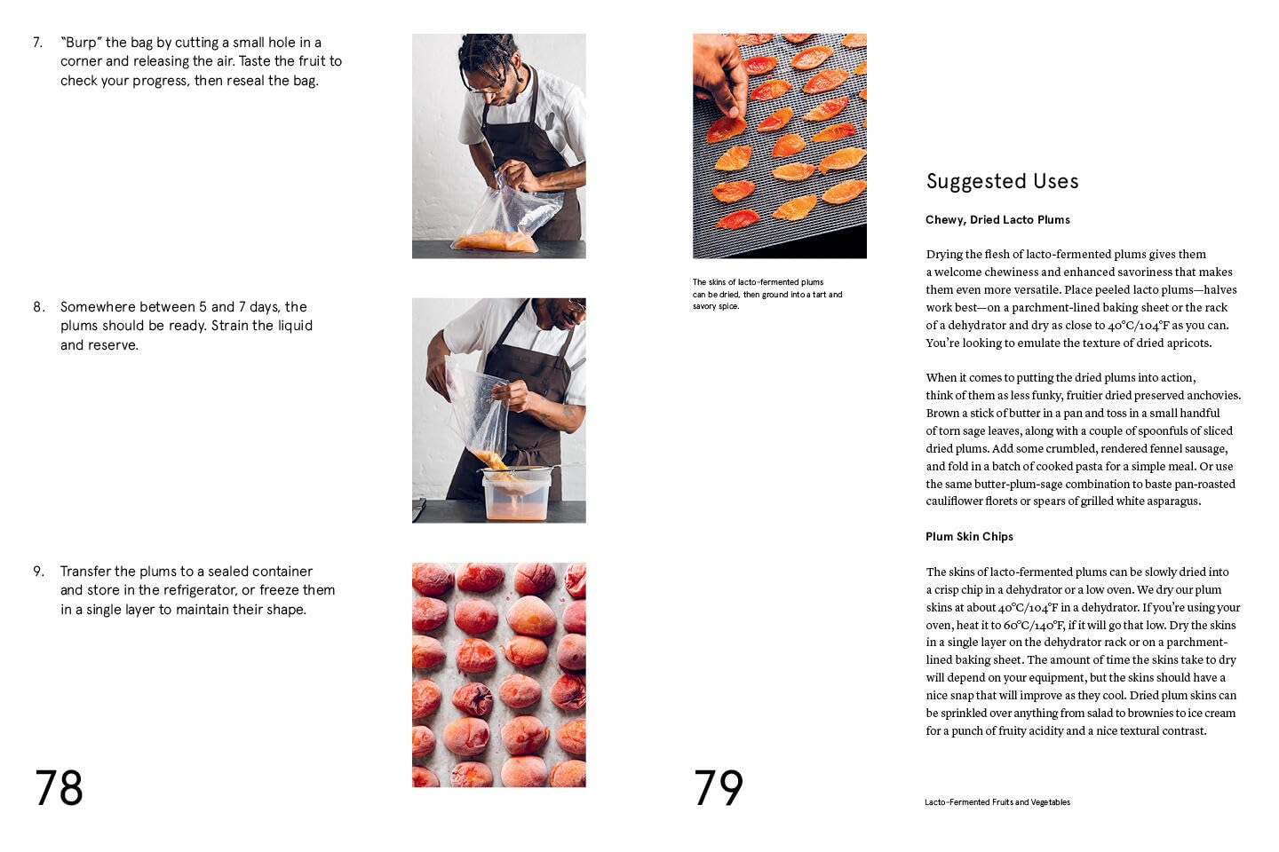 The Noma Guide to Fermentation - image from Amazon 7