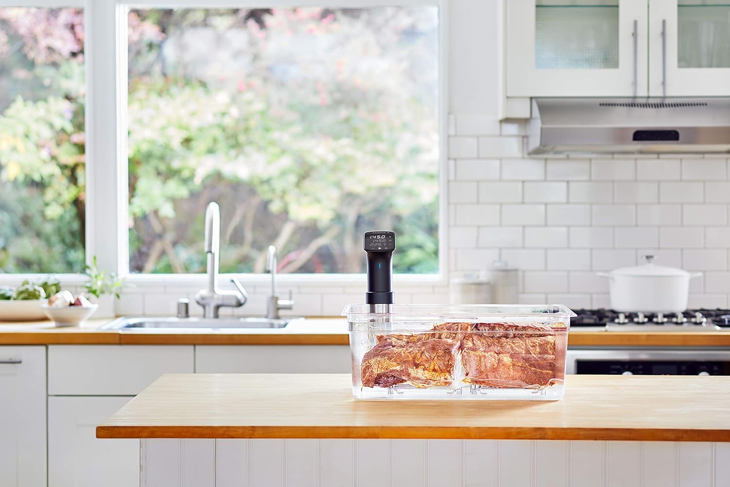 Anova Culinary Sous Vide Precision Cooker Pro - image from Amazon 2