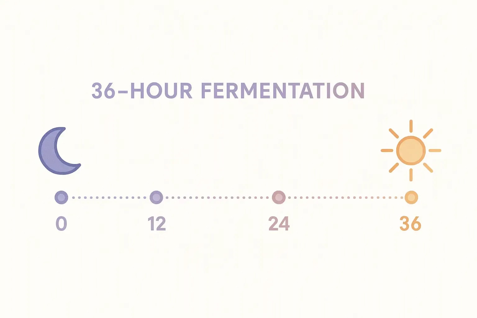 compressed-20250529_1343_Fermentation Timeline Illustration_simple_compose_01jwdt6b66f7rb1ag6sq9qf1xq.png.webp
