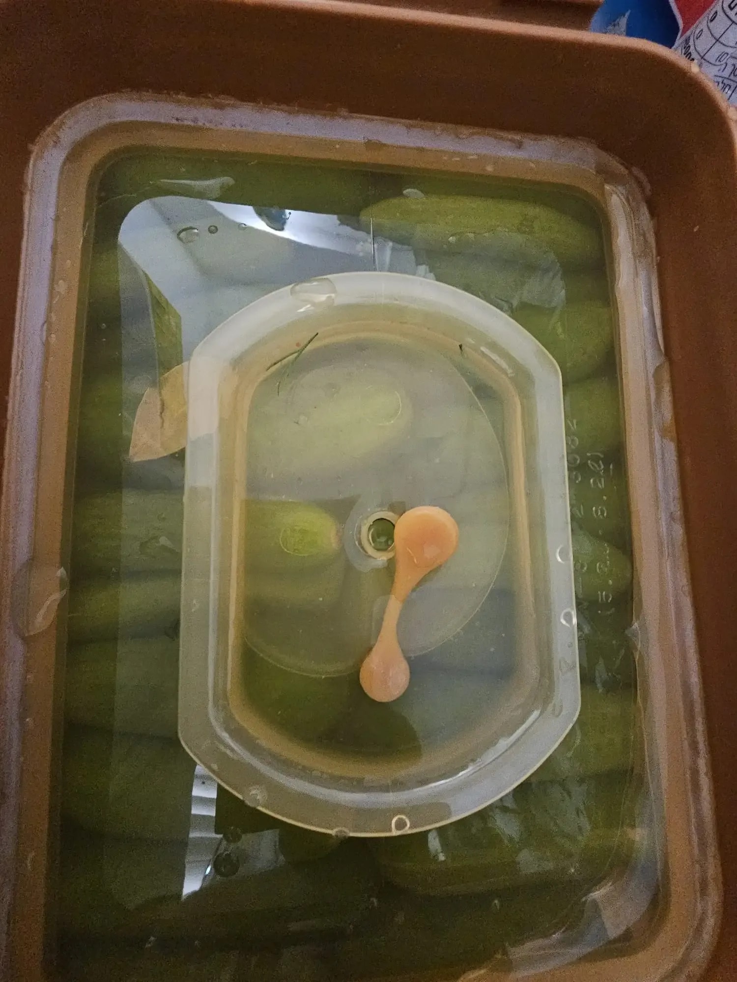 compressed-WhatsApp Image 2025-09-11 at 13.34.58.jpeg.webp