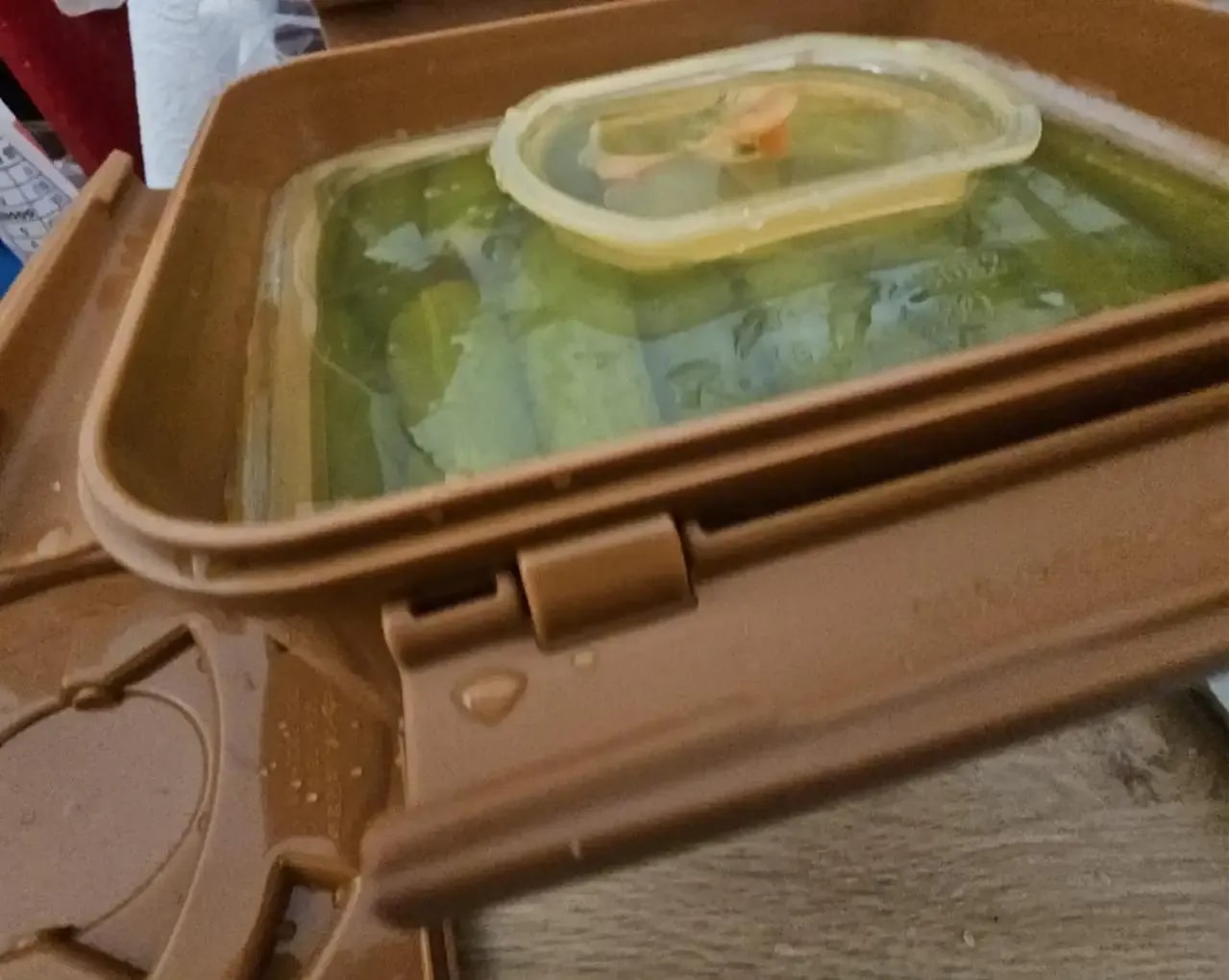 compressed-WhatsApp Image 2025-09-11 at 13.37.32.jpeg.webp