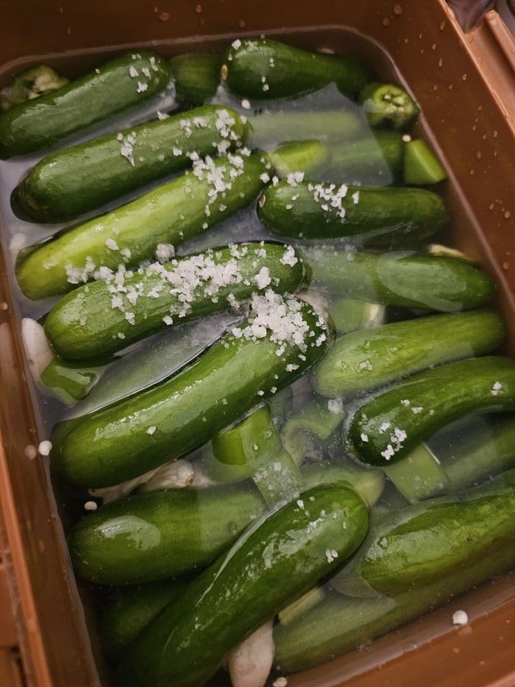 Lacto-Fermented Pickles