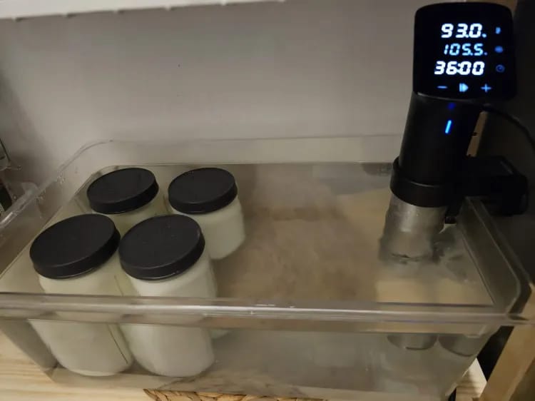 A sous vide setup: Mason jars fermenting in a water bath with the Anova cooker holding the temperature