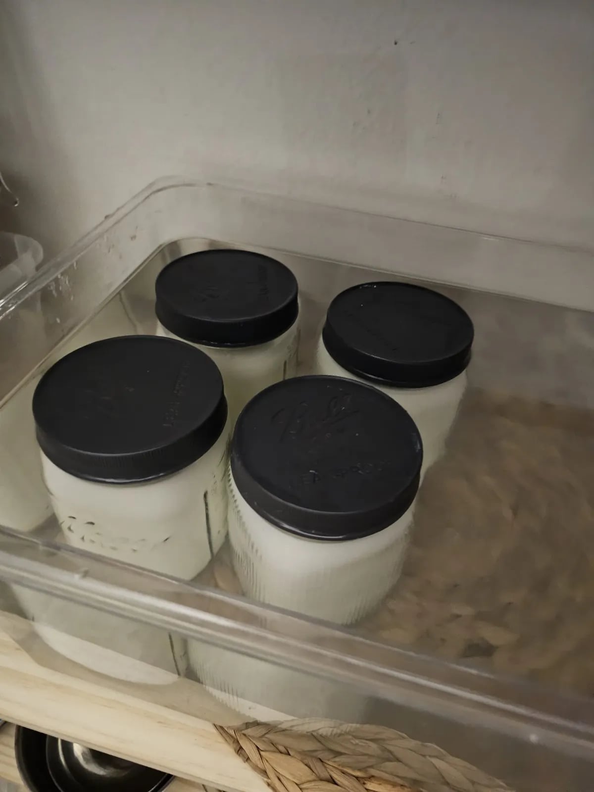 A finished four-jar batch of L. reuteri yogurt chilling in the fridge