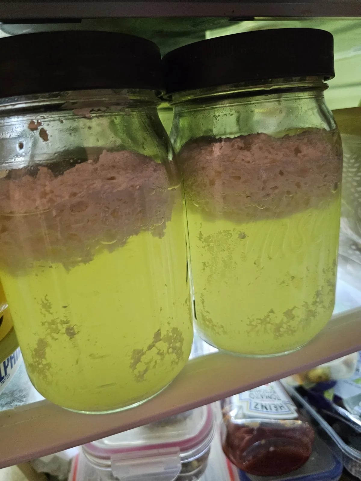 A failed batch: a thick curd separated above bright yellow whey
