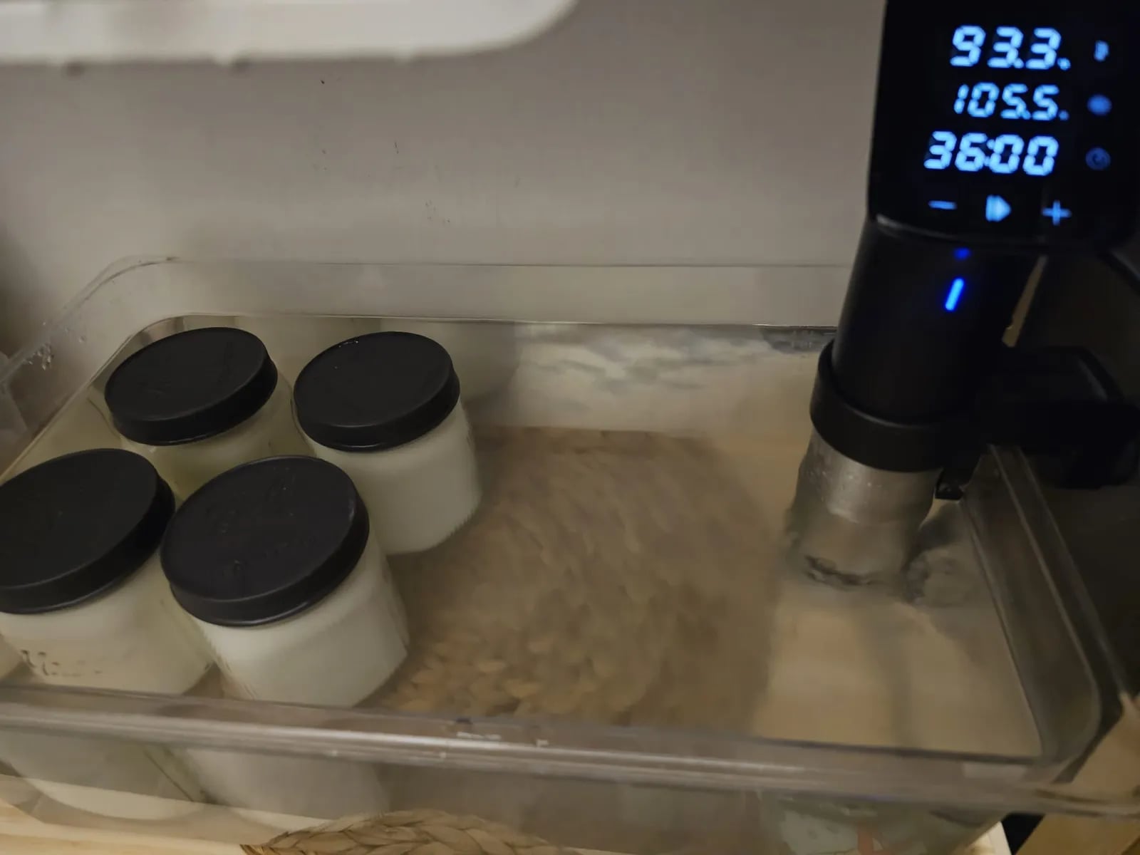 Four Mason jars fermenting in a sous vide water bath, the Anova cooker holding the temperature